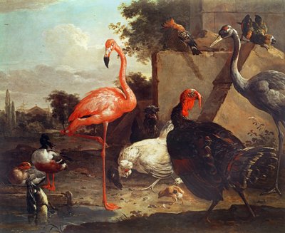 Various Birds by Gillis Claesz d
