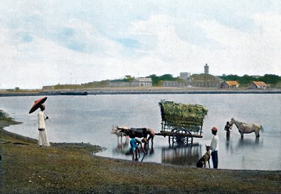 Colombo, Ceylon by Gillot