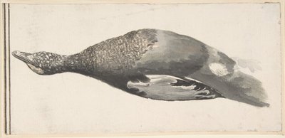 Dead Duck, 1685-1755 by Giorgio Durante