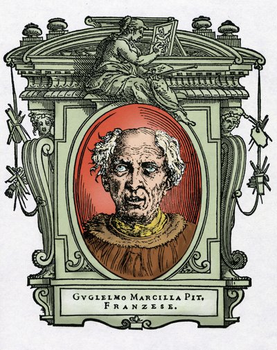 Portrait of William of Marcillat by Giorgio Vasari