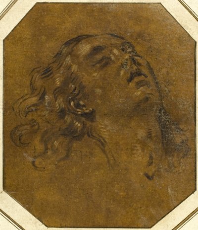 Female Head by Giovan Gioseffo dal Sole