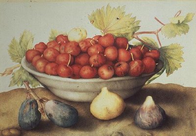 A Bowl of Cherries and Figs by Giovanna Garzoni