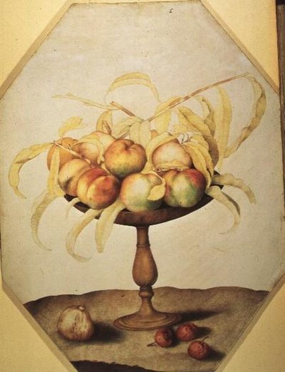 Bowl of Peaches by Giovanna Garzoni