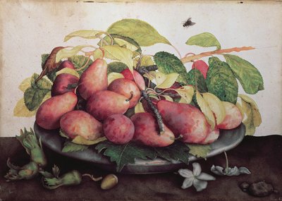 Pears with Hawthorns by Giovanna Garzoni