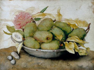 Plate of loquats, almonds and a rose by Giovanna Garzoni