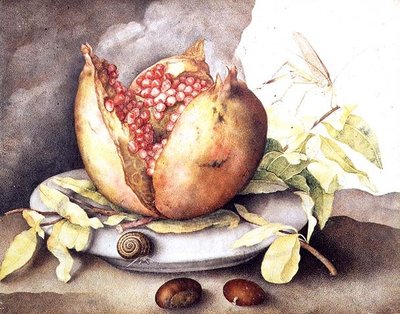 Pomegranate with Chestnuts by Giovanna Garzoni