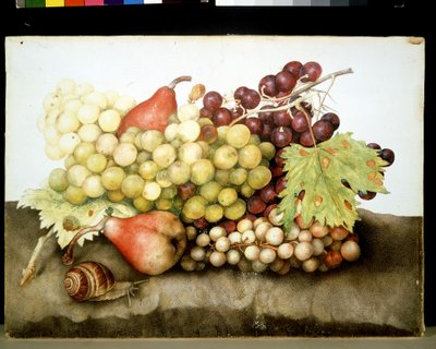 Unknown Image by Giovanna Garzoni