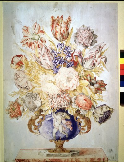 Unknown Image by Giovanna Garzoni
