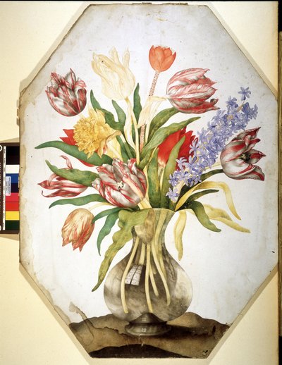 Unknown Image by Giovanna Garzoni