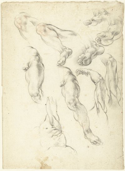 Study Sheet with Arms and Legs by Giovanni Alberti