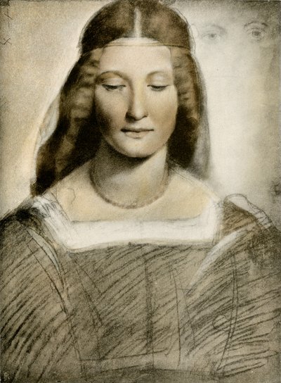 Female Portrait by Giovanni Antonio Boltraffio