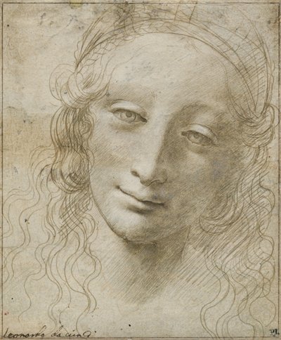 Head of a Woman by Giovanni Antonio Boltraffio