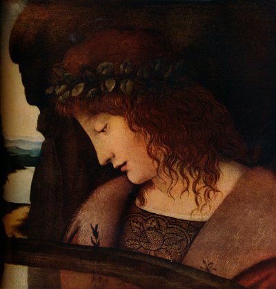 Narcissus by Giovanni Antonio Boltraffio
