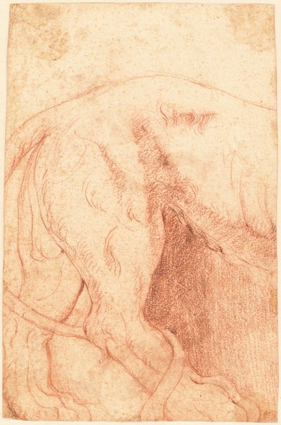 Fragment of a Lion Bas-Relief (verso) by Giovanni Battista Piranesi