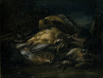 Dead Bird by Giovanni Benedetto Castiglione