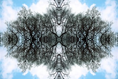 Unnatural 100 by Giovanni Cafagna