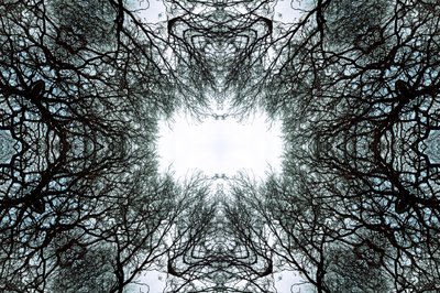 Unnatural 101 by Giovanni Cafagna