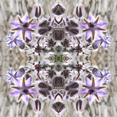 Unnatural 159 by Giovanni Cafagna