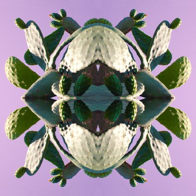 Unnatural 196 by Giovanni Cafagna