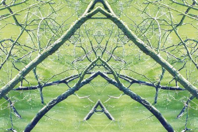 Unnatural 30 by Giovanni Cafagna