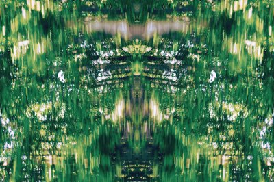 Unnatural 31 by Giovanni Cafagna