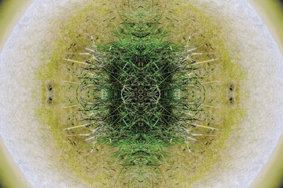 Unnatural 6.1 by Giovanni Cafagna