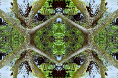 Unnatural 65.2 by Giovanni Cafagna