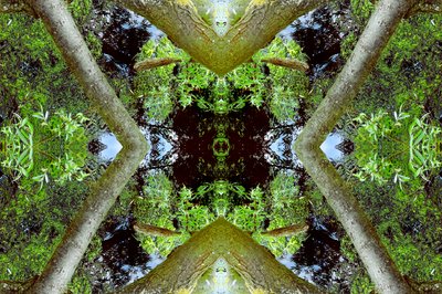 Unnatural 65.3 by Giovanni Cafagna