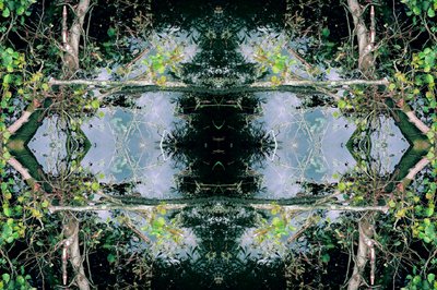 Unnatural 73 by Giovanni Cafagna