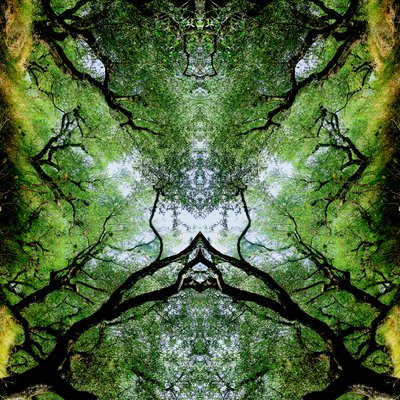 Unnatural 75 by Giovanni Cafagna