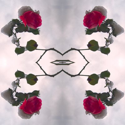 Unnatural 80 by Giovanni Cafagna
