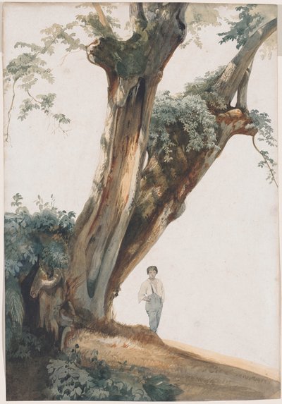 Ancient Trees in the Roman Campagna by Giovanni Costa