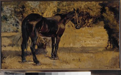 Dark Horse by Giovanni Fattori