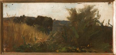 Study of Vegetation by Giovanni Muzzioli