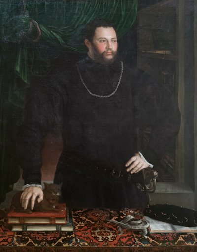 Portrait of a gentleman by Girolamo da Carpi