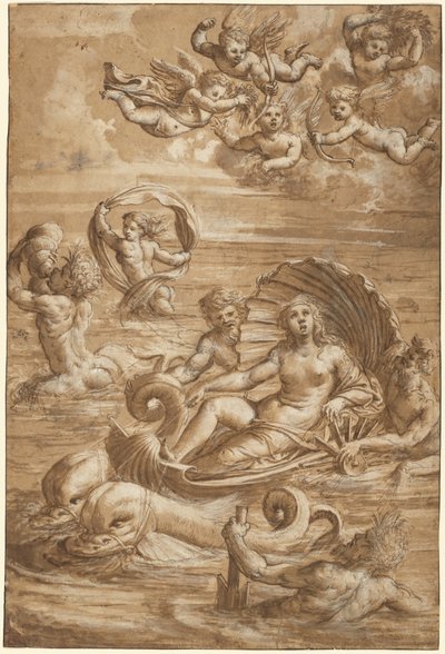 The Triumph of Galatea by Girolamo da Treviso II
