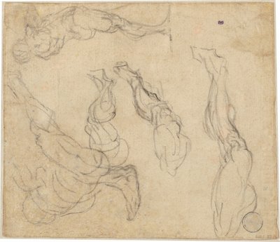 Head of a Boy (verso) by Giulio Campagnola
