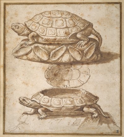 Turtle Shaped Sweetmeat Box by Giulio Romano