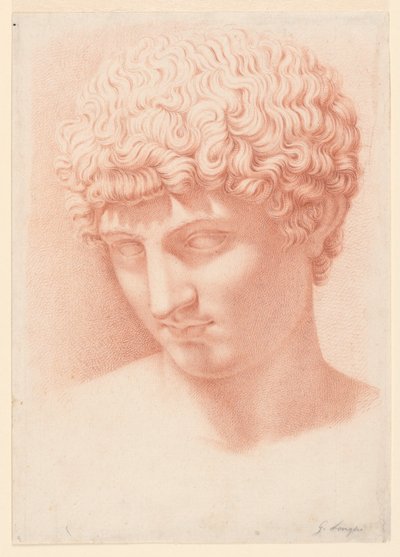 Head of Apollo by Giuseppe Longhi