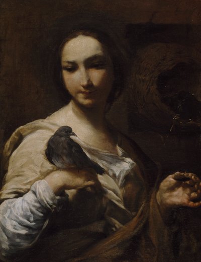 Girl Holding a Dove, 1721-27 by Giuseppe Maria Crespi