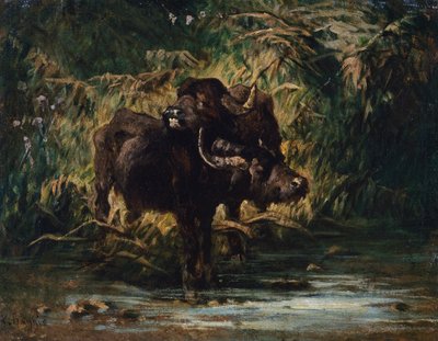 Young buffaloes by Giuseppe Raggio