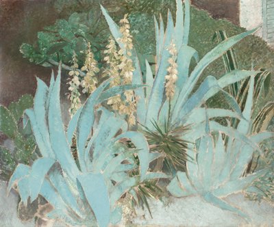 Cactus by Glyn Warren Philpot