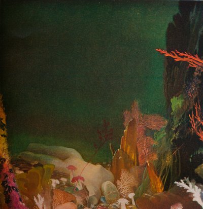 Under the Sea, c1904-1924, 1924 by Glyn Warren Philpot