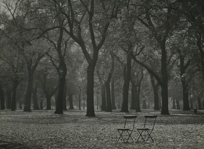 Autumn trees in Hyde Park, London by Godfrey Macdominic