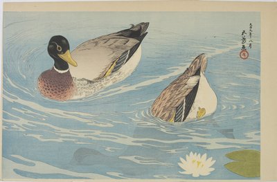 Ducks by Goyo Hashiguchi