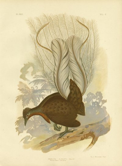 Prince Albert