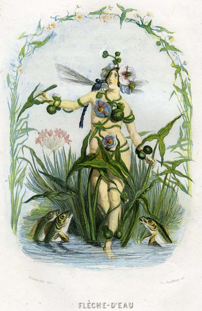 Illustration for 