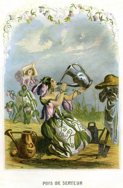 Illustration for 