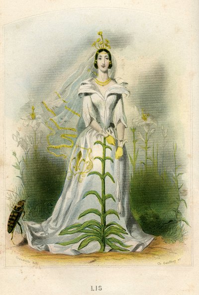 Illustration for 