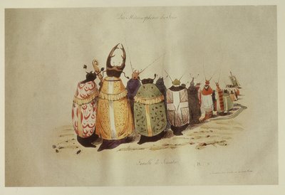 Family of Scarabs, 1828-29 by Grandville